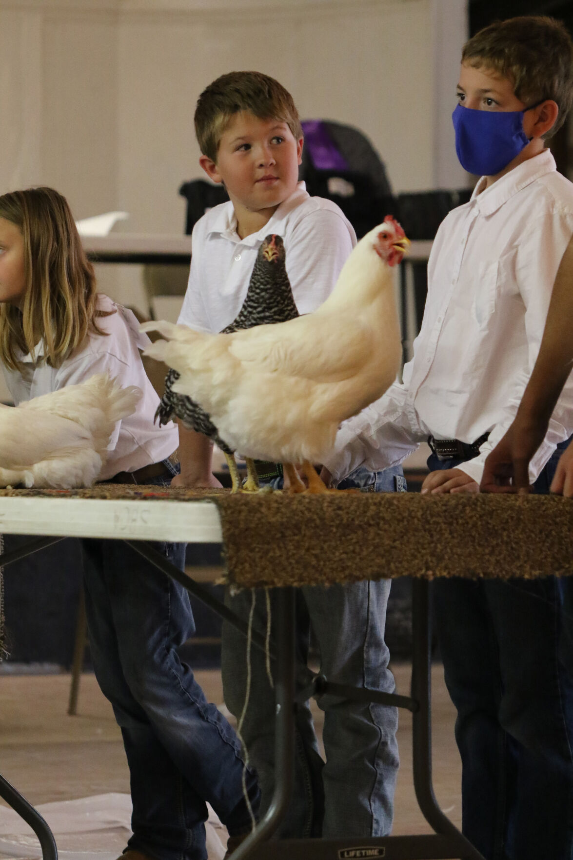 PHOTOS: Poultry Show at Scotts Bluff County Fair 2020